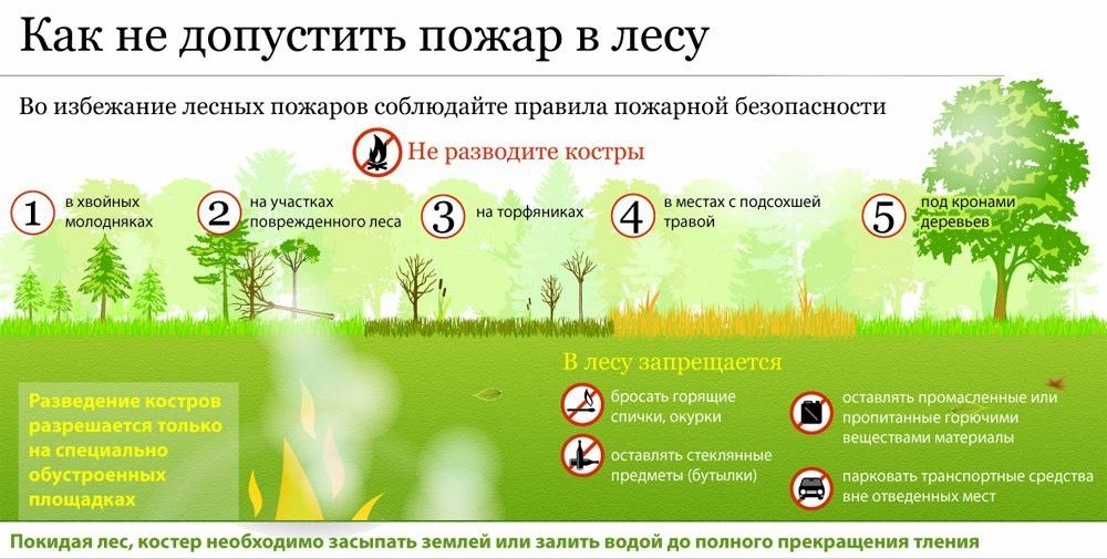 Методы и способы тушения лесных пожаров