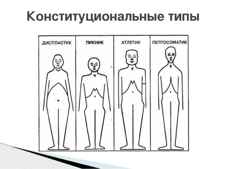 Виды телосложения у мужчин: определение, названия и характеристики с фото