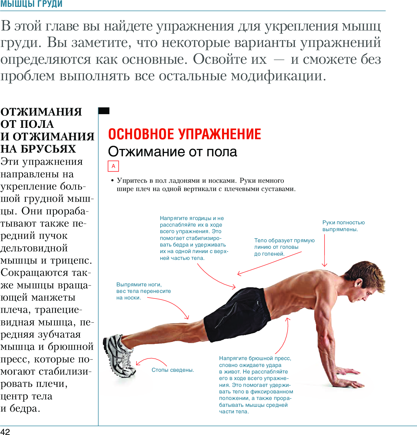 Отжимания от пола для девушек с нуля до идеальной формы