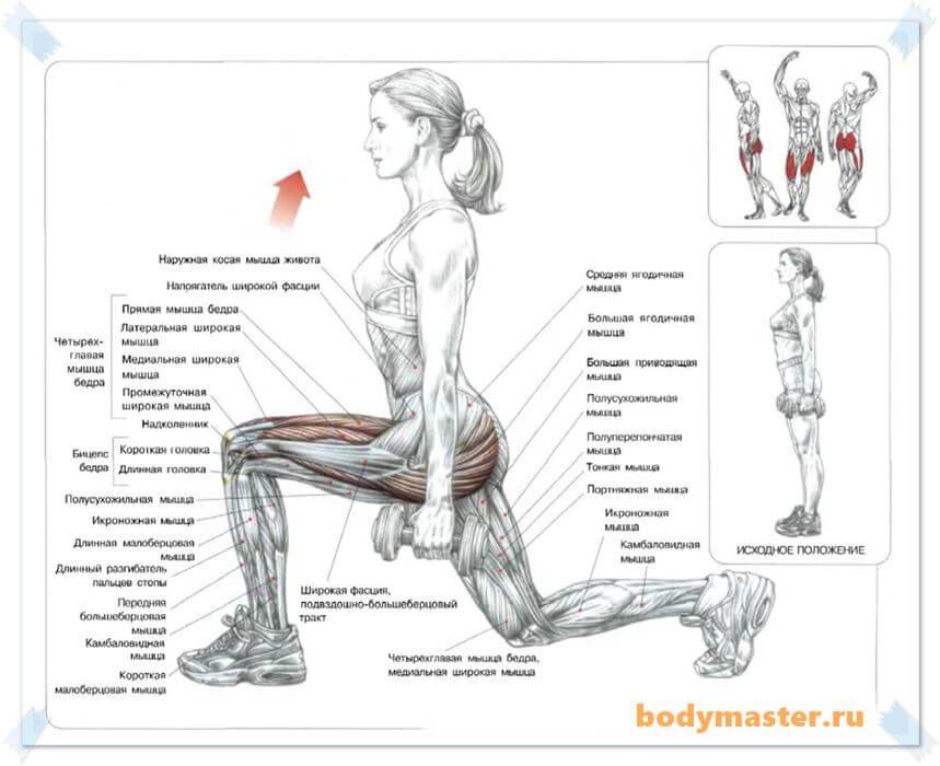 Выпады перекрестные: описание упражнений, пошаговая инструкция выполнения, проработка мышц ног и тела
