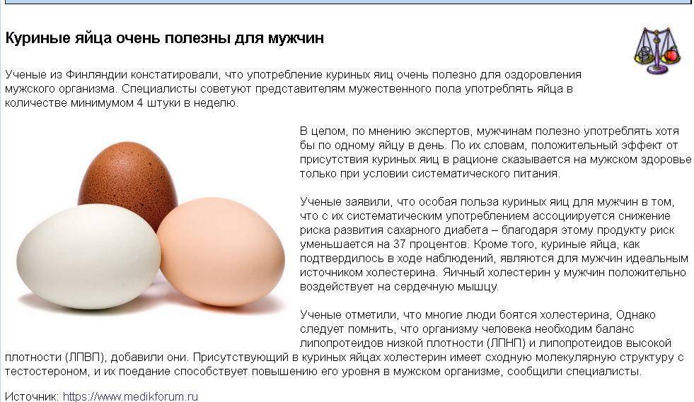 Перепелиное яйца в бодибилдинге. все о яйцах в бодибилдинге. | диета для похудения
