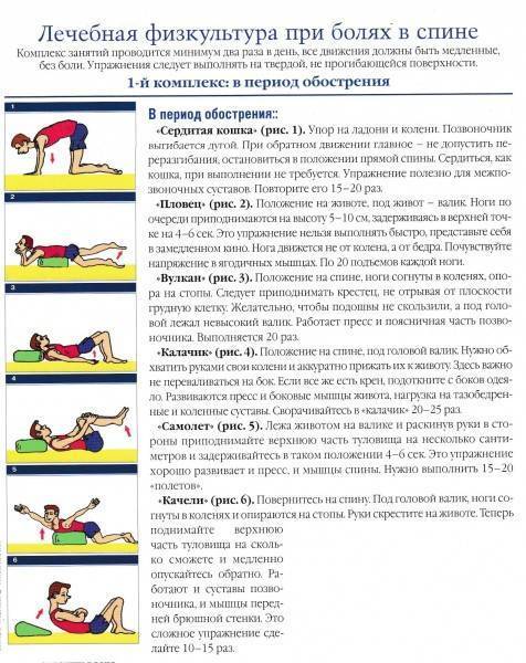 8 упражнений для спины в домашних условиях