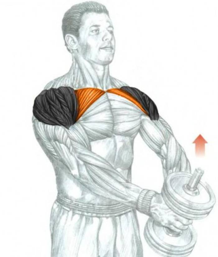 Упражнения на плечи с гантелями для мужчин — лучший комплекс | playboy