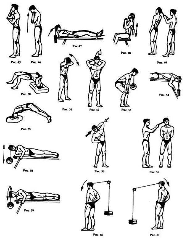 Качаем шею дома как тренировать мышцы шеи самостоятельно
 - schoolfield.com.ua