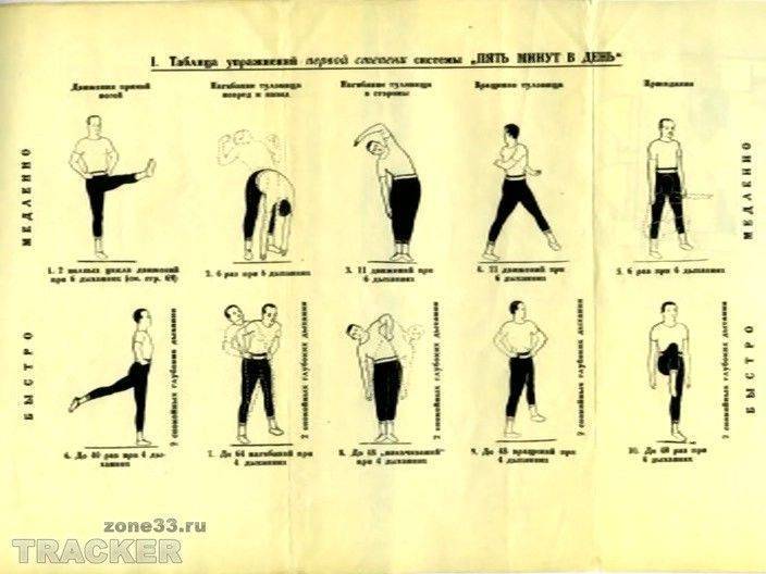 Гимнастика мюллера 5 минутный комплекс в картинках