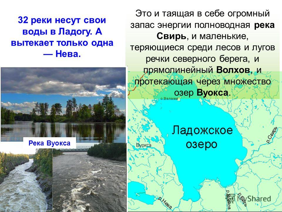Река свирь в ленинградской области