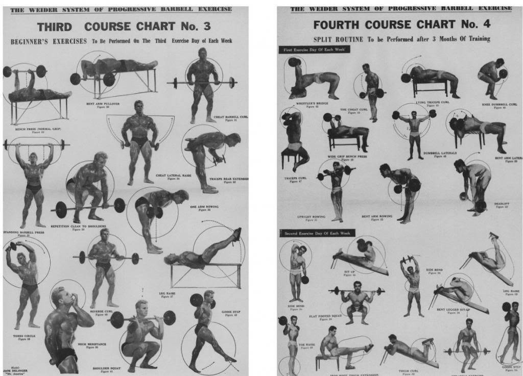 Пауэрлифтинг: программы тренировок, упражнения, рекомендации