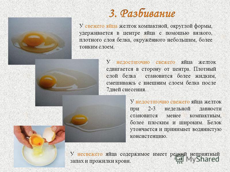 Первая помощь при отравлении яйцами