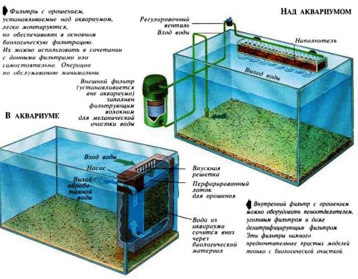 Вода для рыбок в аквариуме (основные показатели и характеристики)