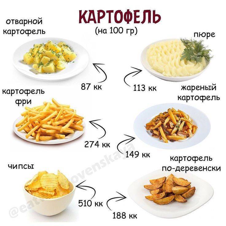 Калорийность картофеля сырого, вареного, жареного, тушеного, фри - zenamoda.ru