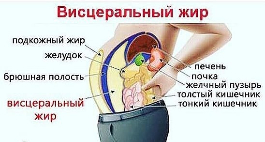 Липолитики для похудения - что это такое?