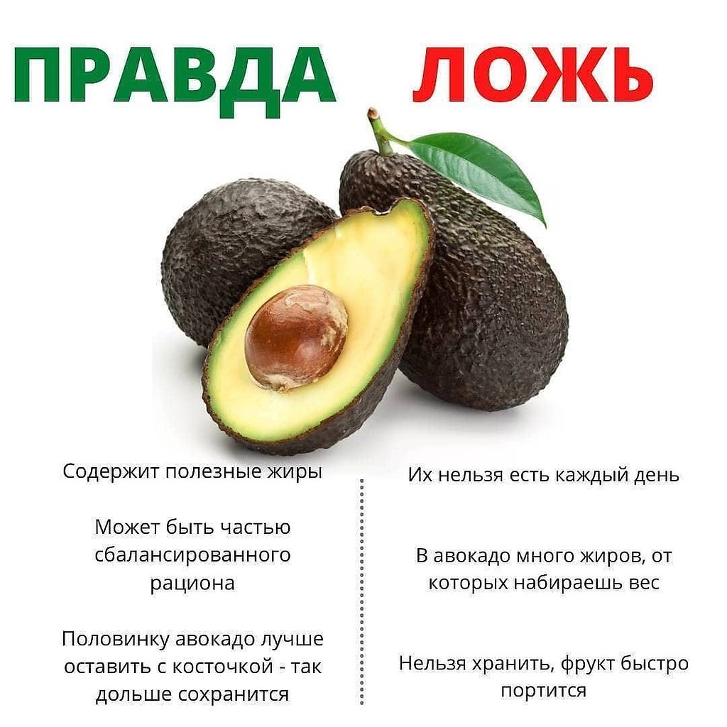 Авокадо полезные свойства