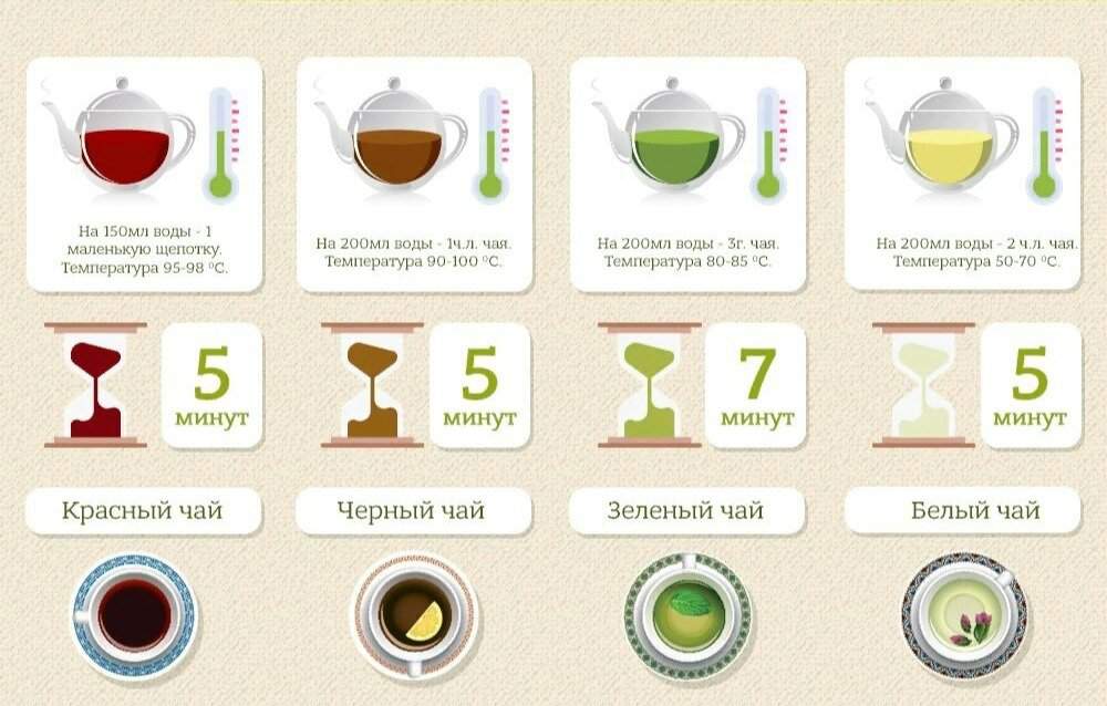 Сколько пить заваренный чай. Как правильно заваривать чай. Правильное заваривание чая. Инфографика чай. Как правильно заваривать чай в заварнике.