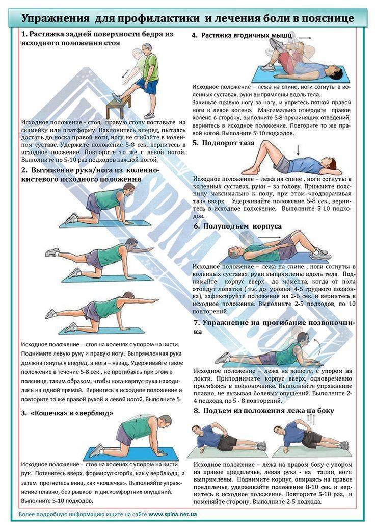 Как укрепить поясницу.
