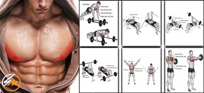 Как накачать верхнюю часть грудных мышц –  комплекс упражнений