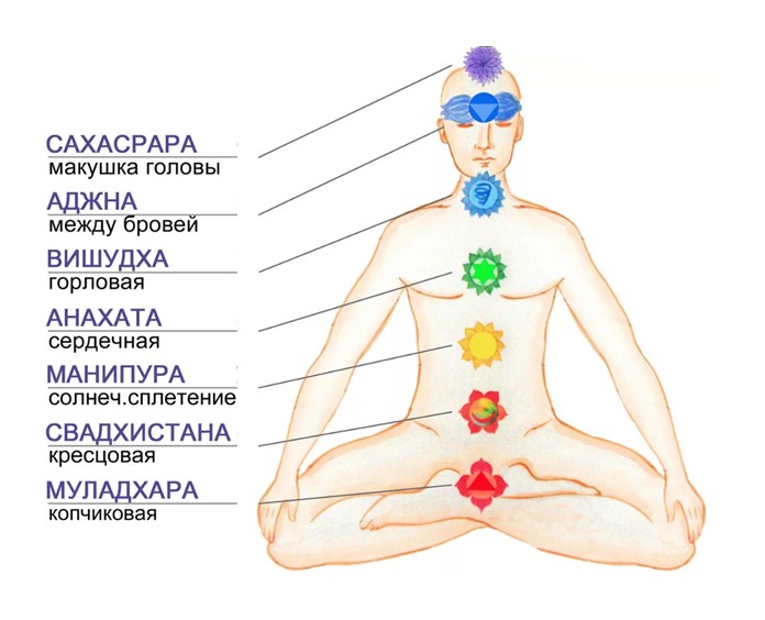 Муладхара чакра: где находится и за что отвечает, как активировать