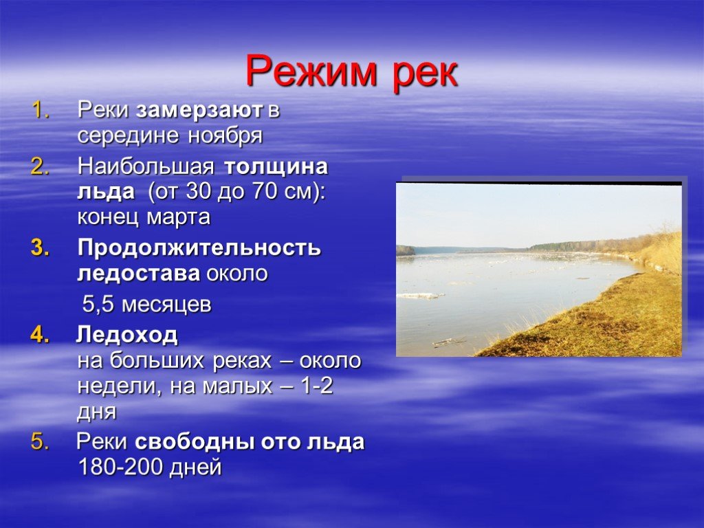 Река обь — описание, притоки, рыбы | lovitut.ru (рыбалка и бильярд) | дзен