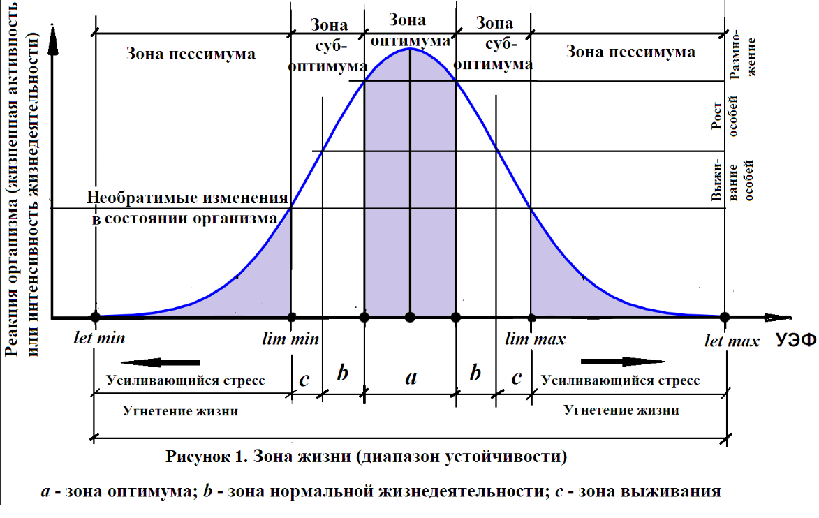 Модель температура. Фазовый спектр колоколообразного импульсного сигнала. Алколотическая кривая. Экологическая кривая. Влияние температурных факторов на жизнедеятельность организмов.
