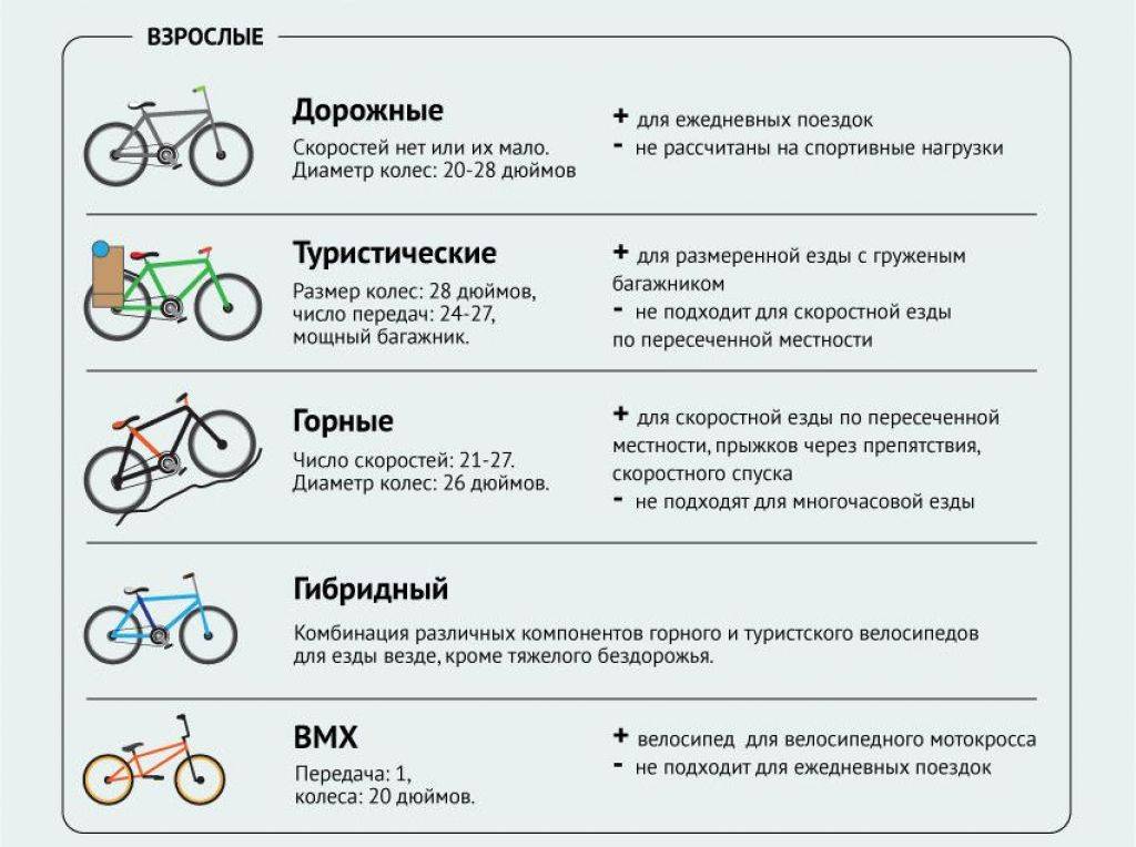 Какие велосипеды самые надежные: рейтинг брендов, рекомендации по выбору