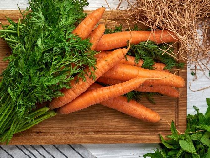 Морковь: состав, польза и вред, калорийность