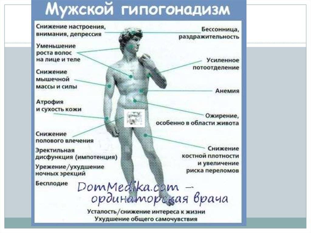 ➤ как занятия спортом влияют на уровень тестостерона у мужчин и как спорт влияет на либидо