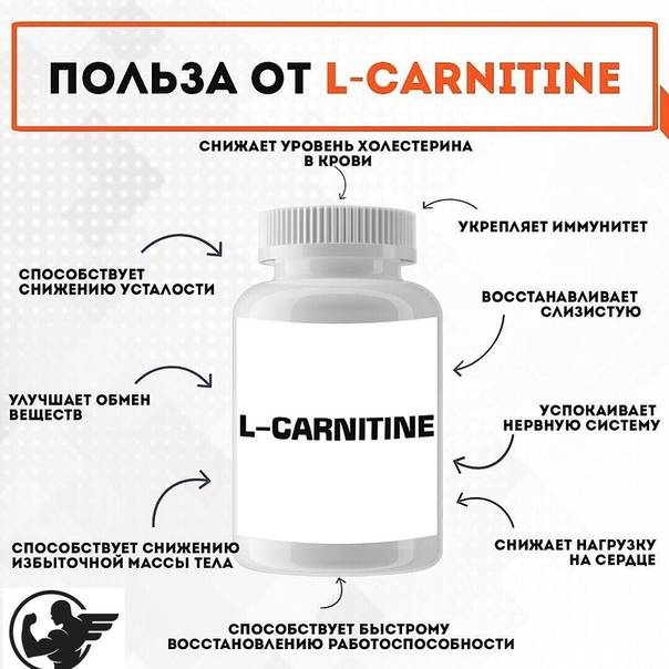 Разница между ацетил-l-карнитином и l-карнитином в чем реальные отличия двух добавок - кгбуз горбольница №12