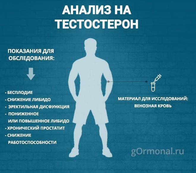 Синдром дефицита тестостерона: нужен ли тестостерон для поддержания физической формы мужчины? * клиника диана в санкт-петербурге