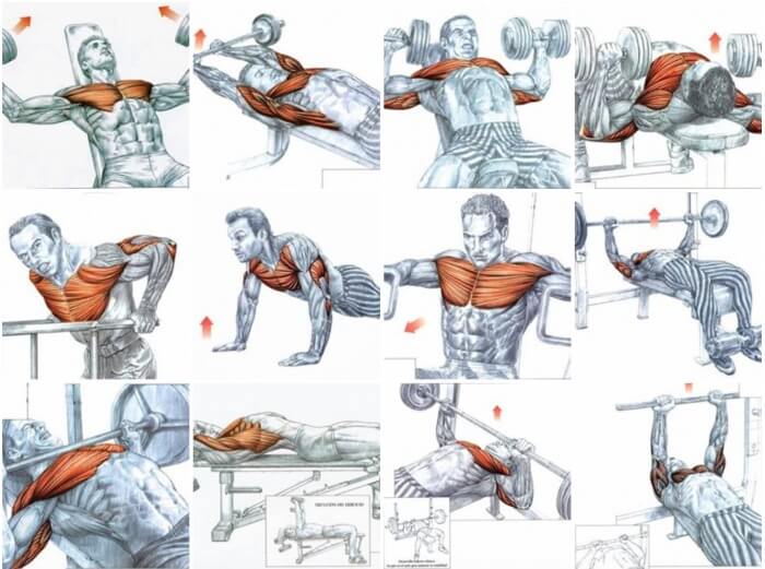 Как накачать мышцы на тренажерах и в домашних условиях? упражнения для всех групп мышц