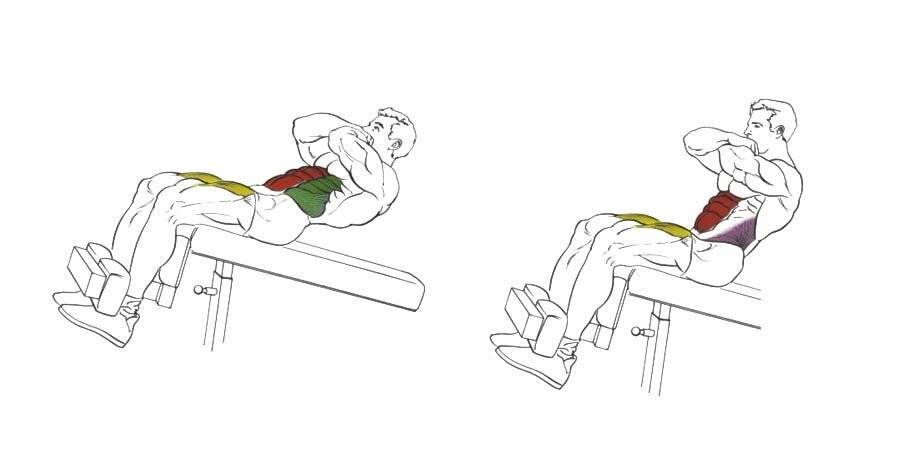 Упражнения на наклонной скамье для пресса на скамье: как правильно качать мышцы, техника выполнения