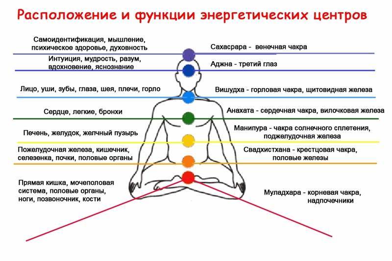 Свадхистана чакра. активация 2 чакры. свадхистана: как открыть, очистить, медитация - планетарная йога: способы развития осознанности