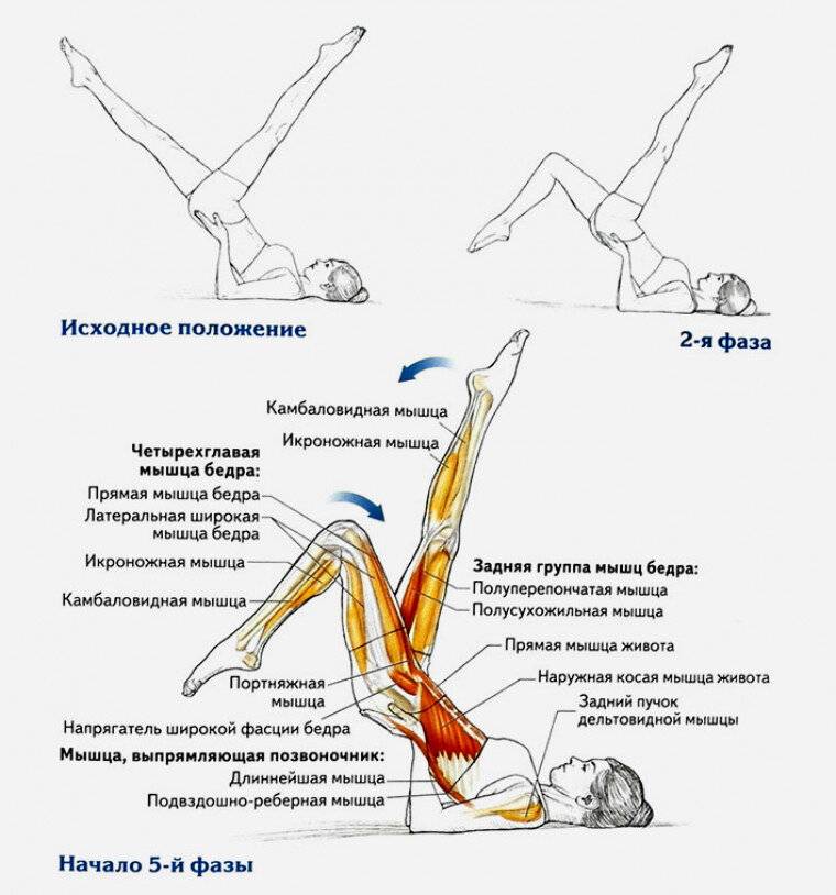 Как делать упражнение велосипед правильно? — sportfito — сайт о спорте и здоровом образе жизни