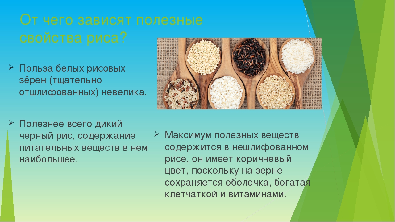 Рис: польза и вред, пищевая ценность риса, рис в народной медицине