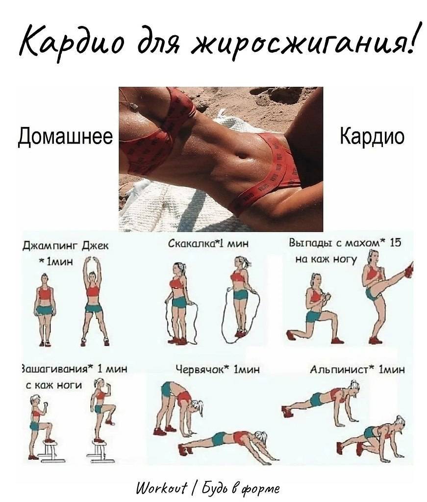 Палим жир к лету #2: жиросжигающие тренировки