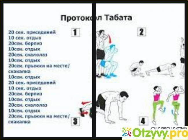 Табата ― упражнения для похудения, техника для мужчин и женщин, новичков и профессионалов