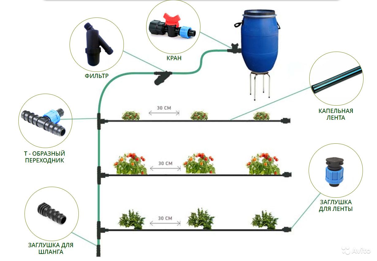 Автоматический полив газона своими руками: устройство и оборудование, правила и требования