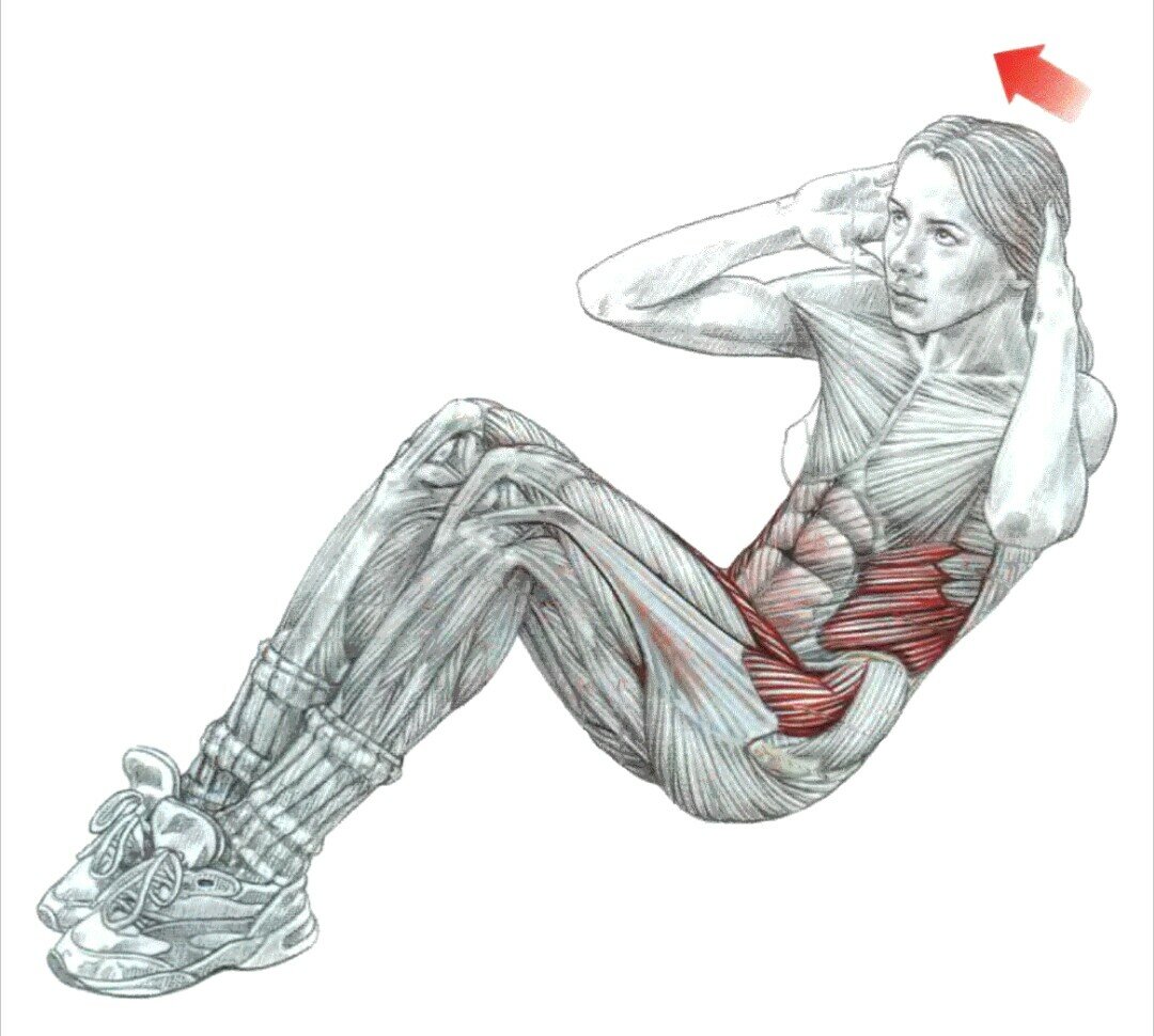Косые мышцы живота — как накачать? упражнения на боковой пресс