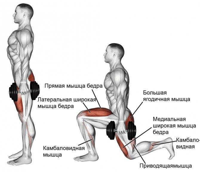 Как накачать боковые мышцы ягодиц: обзор самых эффективных упражнений - tony.ru
