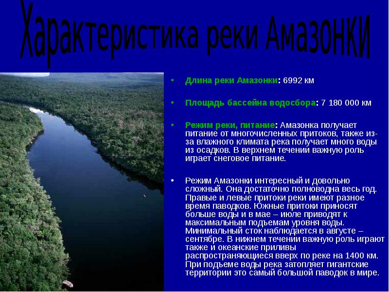 Река амазонка: обзор и характеристики, притоки, исток, устье