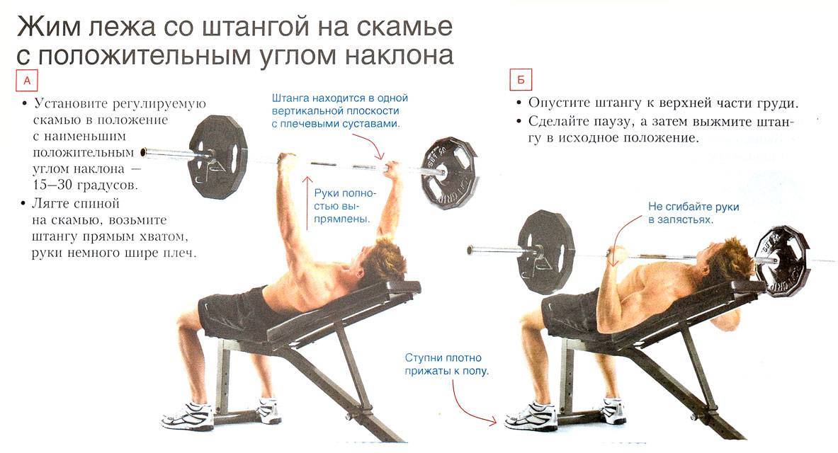 Жим гантелей на наклонной скамье: правильная техника выполнения упражнения под углом головой вверх