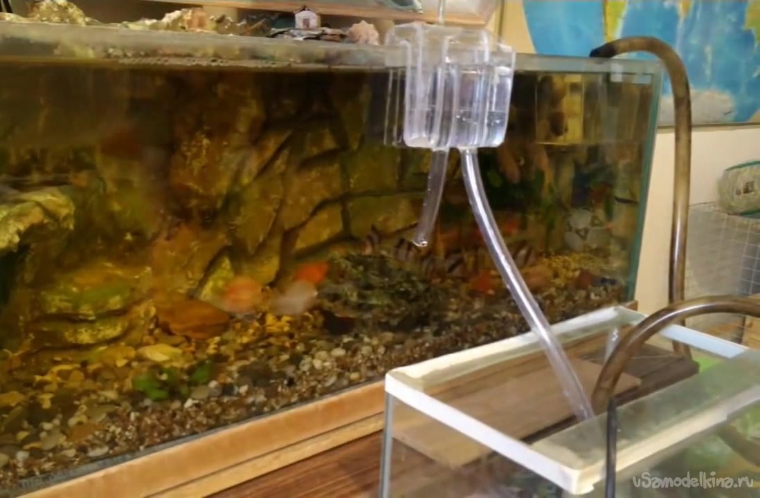 Как слить воду из аквариума через шланг — строй обзор