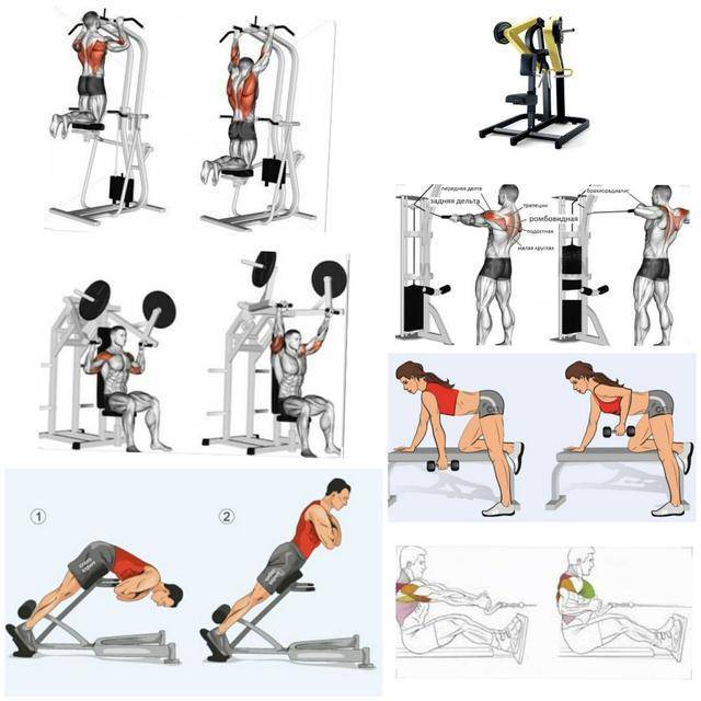 Упражнения на плечи в тренажерном зале (в картинках) | фитнес