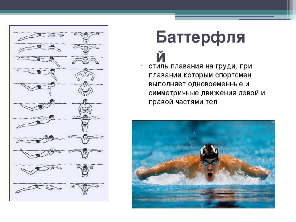 Как научиться плавать стилем баттерфляй, чтобы делать это правильно? - все про воду
