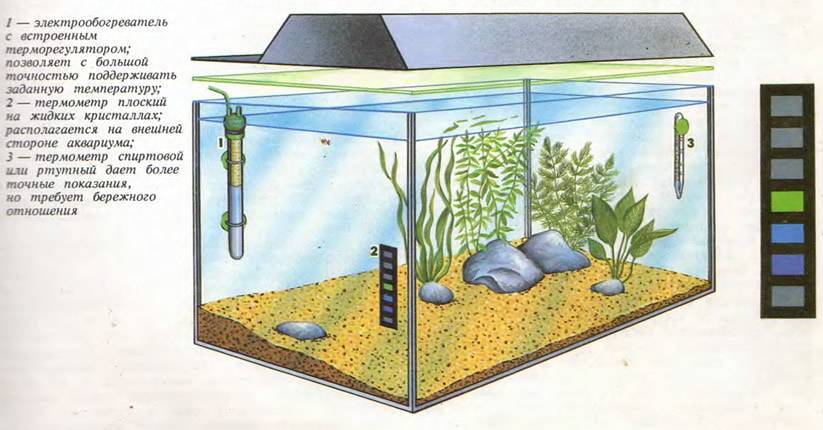 Как поменять воду в аквариуме? полная и частичная замены воды