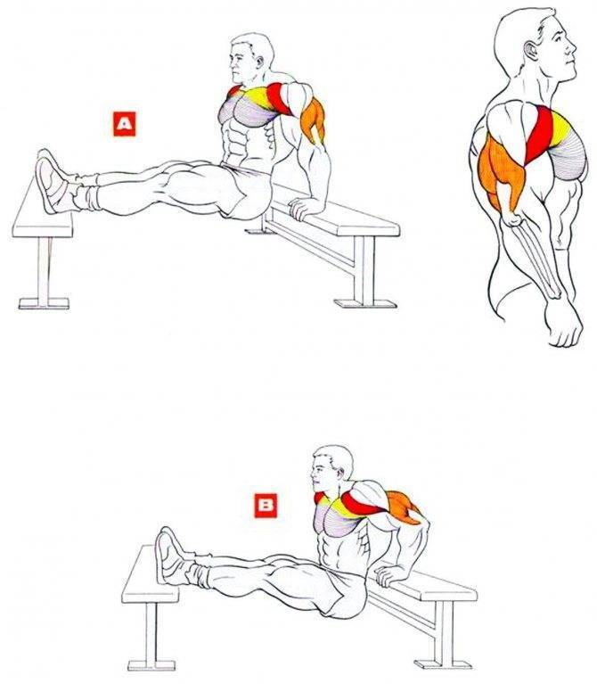 Как накачать грудные мышцы в домашних условиях