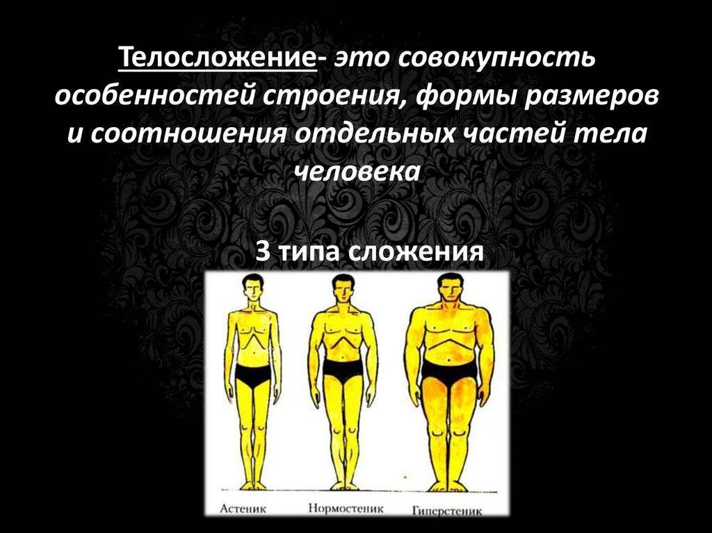 Типы телосложения мужчин по в.в. бунаку
типы телосложения мужчин по в.в. бунаку