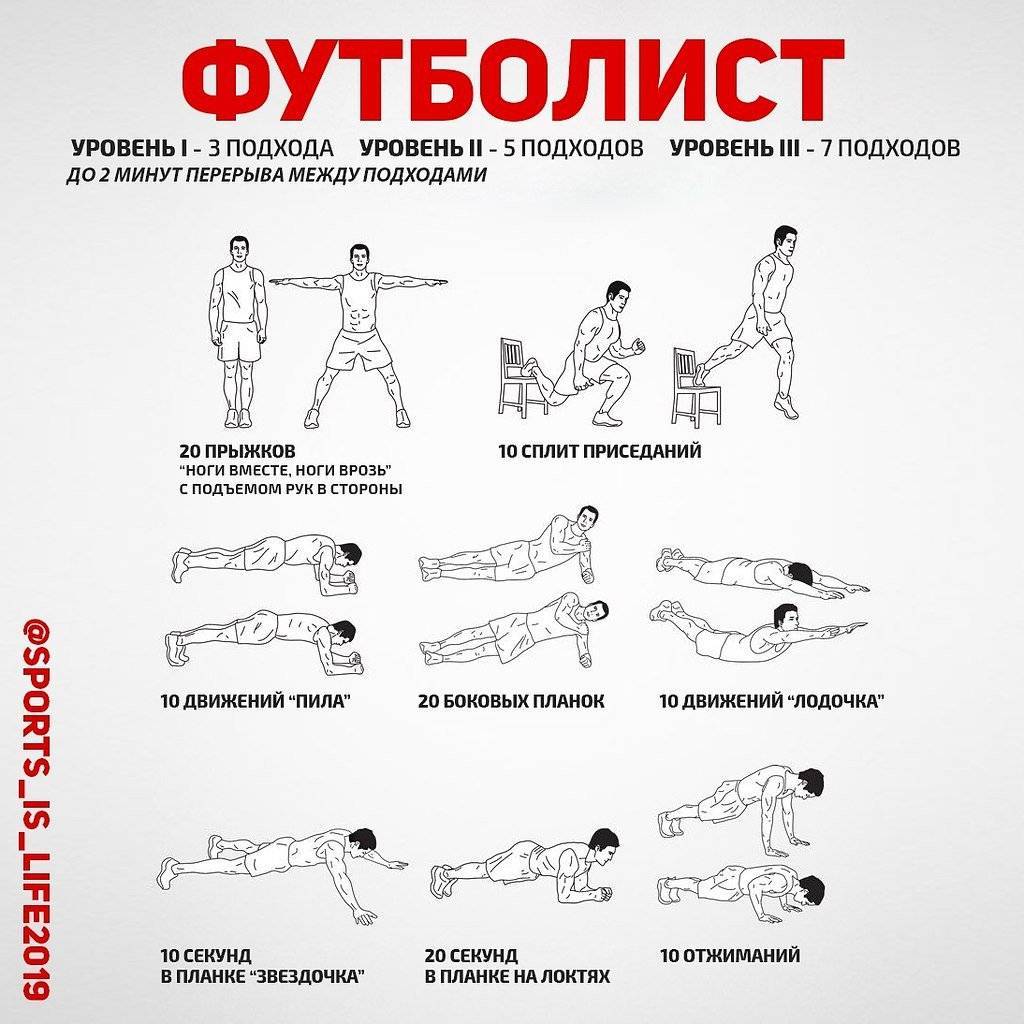 Упражнения на руки в домашних условиях с фото: для похудения и мышц