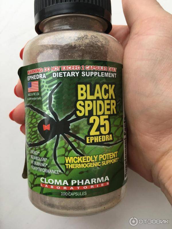 Все что нужно знать о жиросжигателе black spider 25 c эфедрой