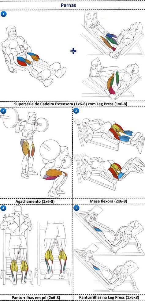 Как качать ноги: суперэффективные упражнения для мышц ног