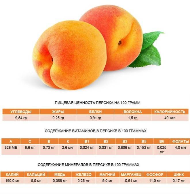 О пользе и вреде персиков