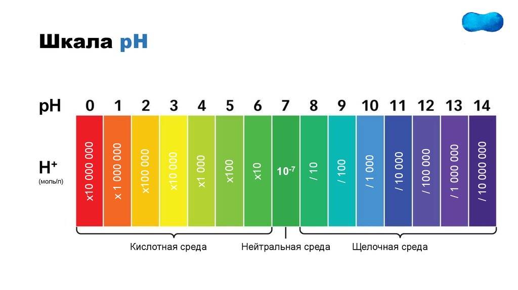 Ph мочи: норма у женщин, мужчин и детей | medart